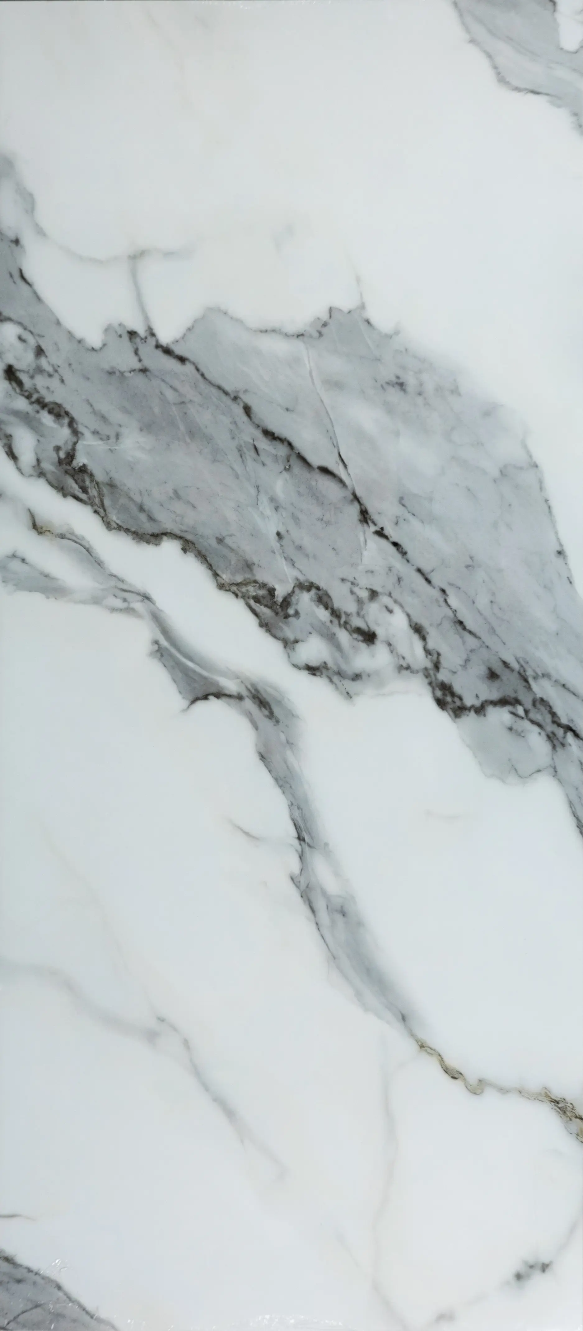 Panneau en polymère Marbré Silver